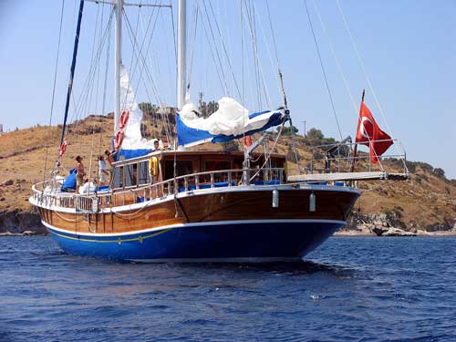OCN646405