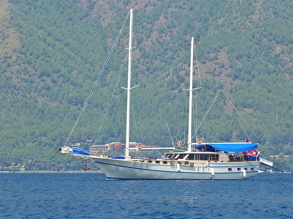 OCN454904