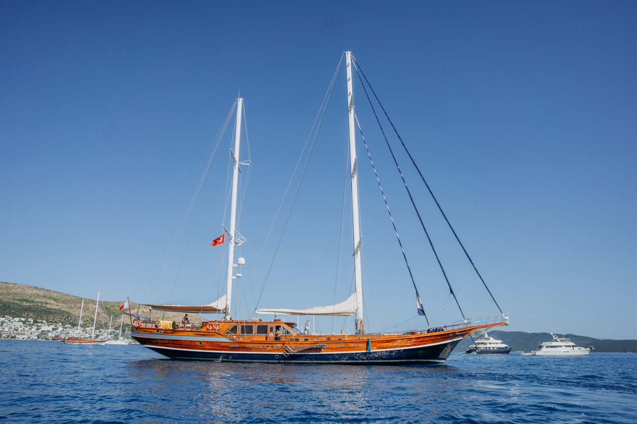 OCN680786