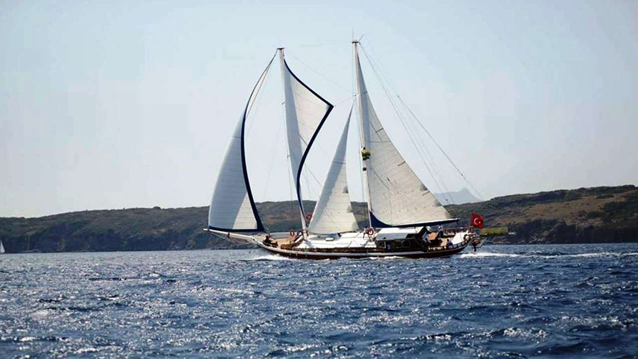 bibi aysegul