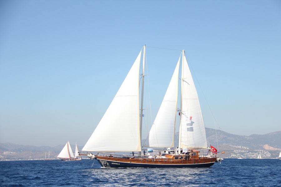 ZEPHYRIA II